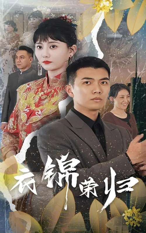 《衣锦荣归》：梦想与现实的交织，返乡之路的希望与挑战