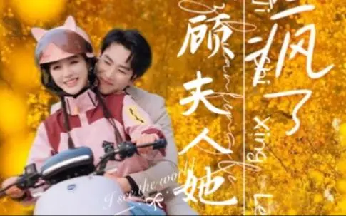 《顾总夫人她赚疯了》：女强人财富逆袭的励志传奇