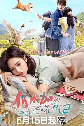 《何加加的桃花源记》：逃离都市喧嚣，找寻内心平静的治愈之旅