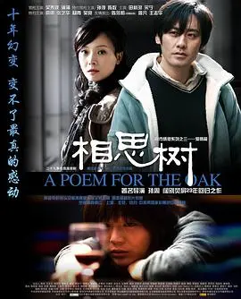 《相思树》：岁月织就的缠绵情缘，一段刻骨铭心的都市爱恋故事